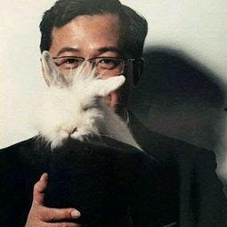 卓伟娱乐圈真实爆料,揭秘明星背后的真实故事