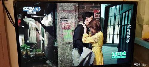 巴黎玫瑰电视在线观看,在线重温经典法国电视剧的魅力时刻